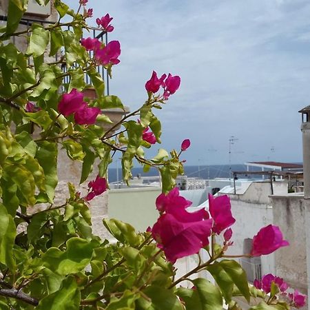 La Casetta Nel Vico Polignano a Mare Eksteriør billede